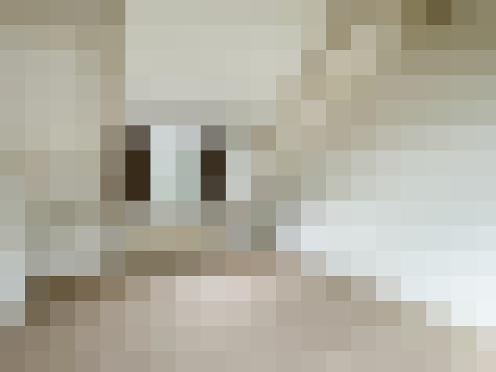  / #21