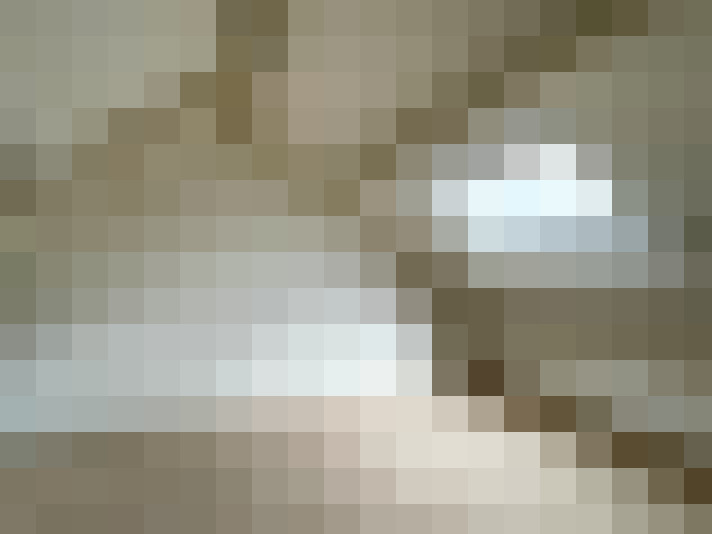  / #20