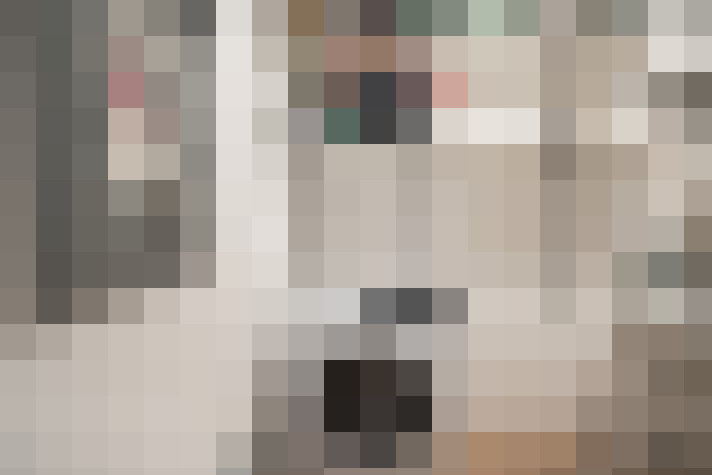  / #27