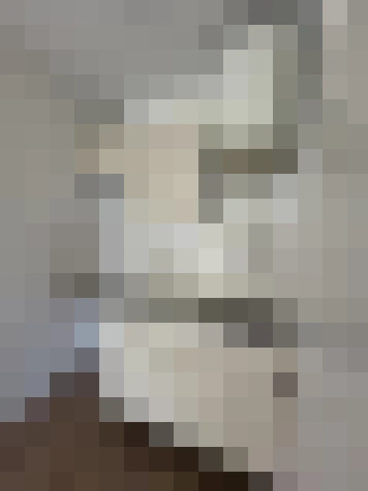  / #15