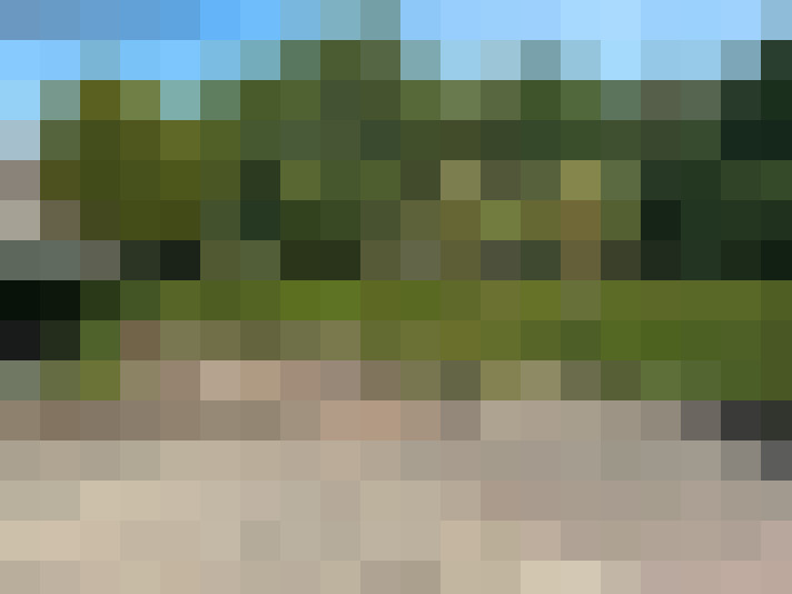  / #17