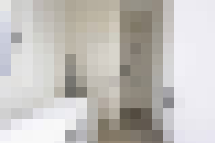  / #11