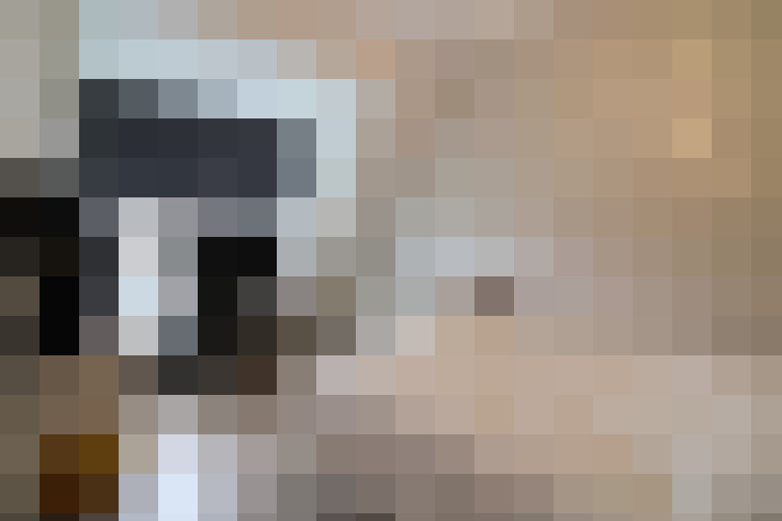  / #13