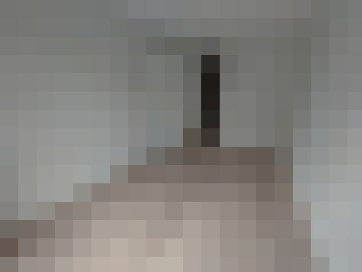  / #6