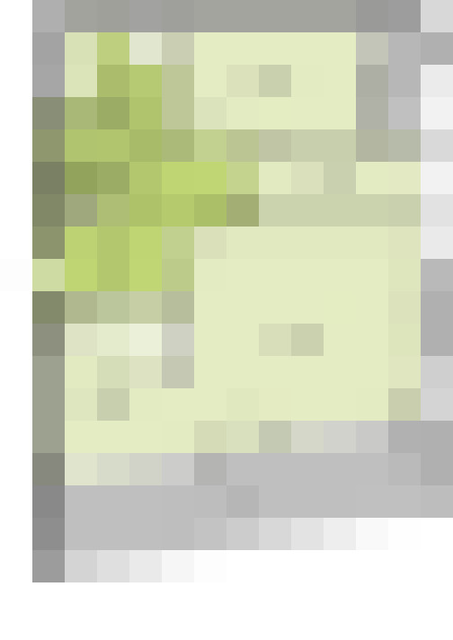  / #19