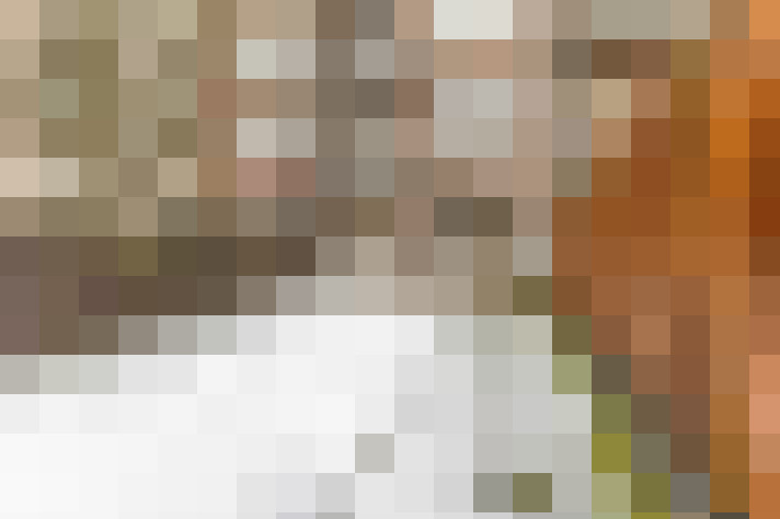  / #20