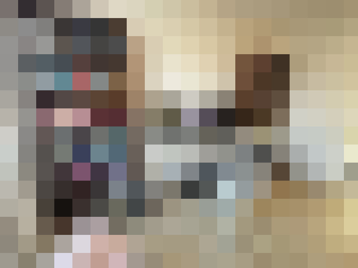  / #16