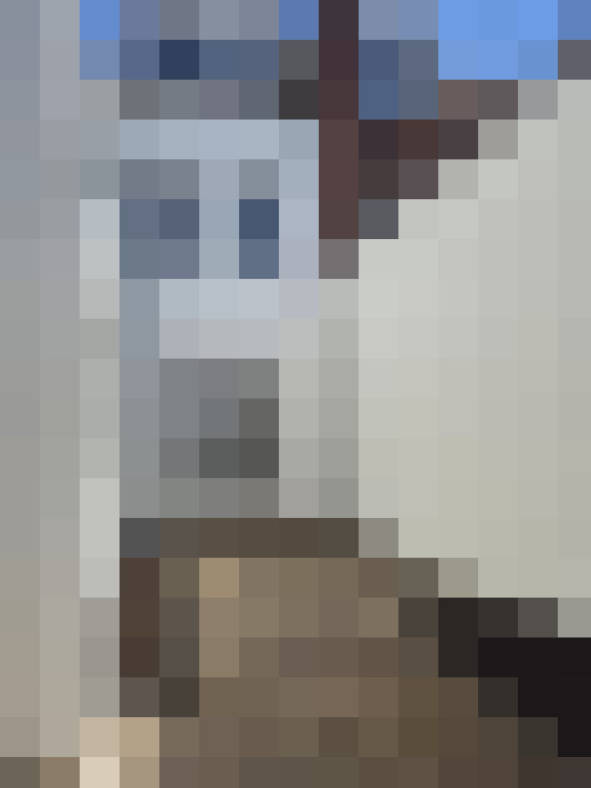  / #19