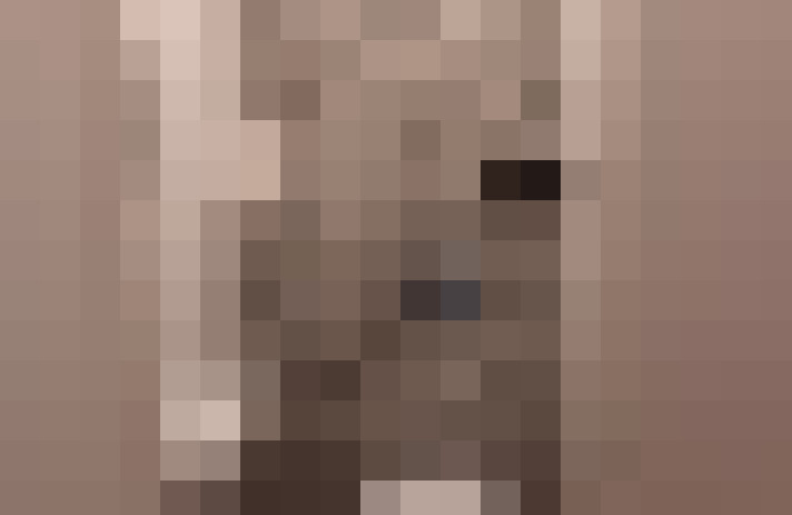  / #4
