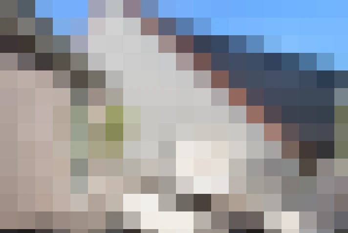  / #18