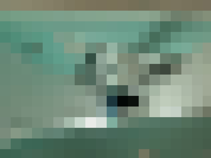  / #11