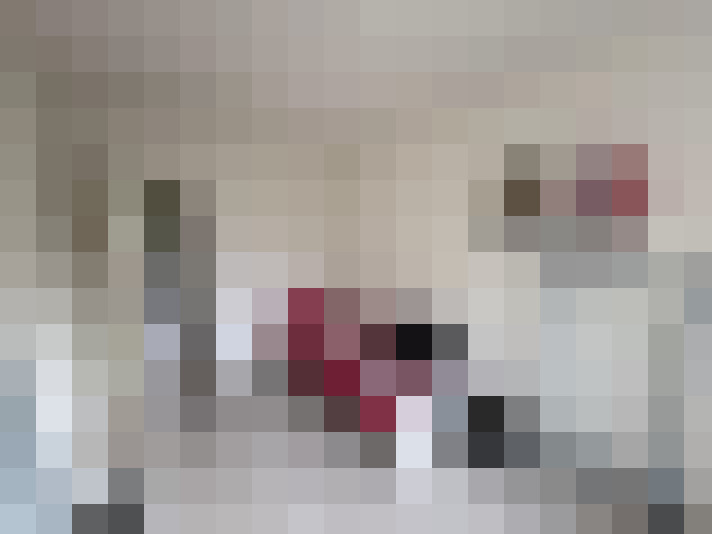  / #8