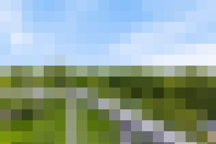 / #104