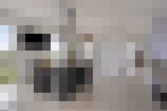  / #22