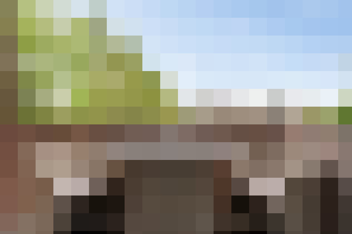  / #23