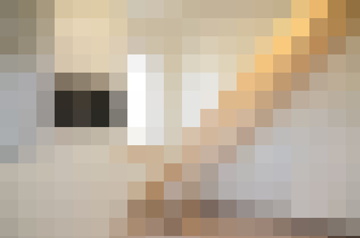  / #21