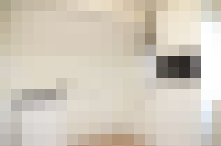  / #20