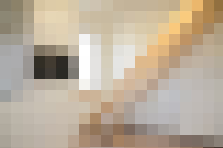  / #22