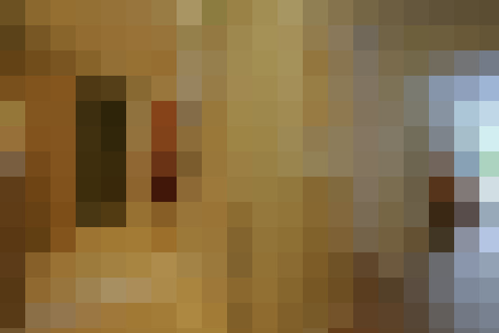  / #21