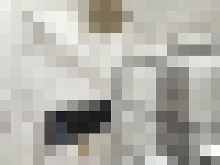  / #16