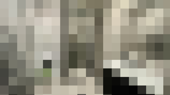  / #15