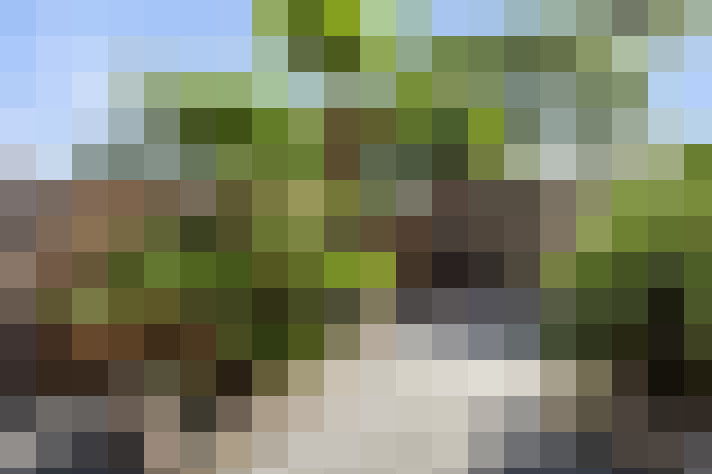  / #16