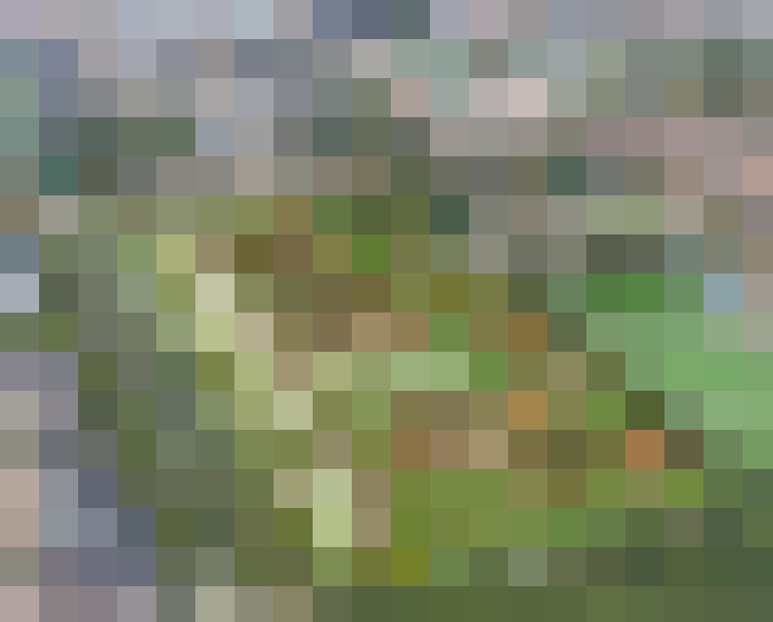  / #14