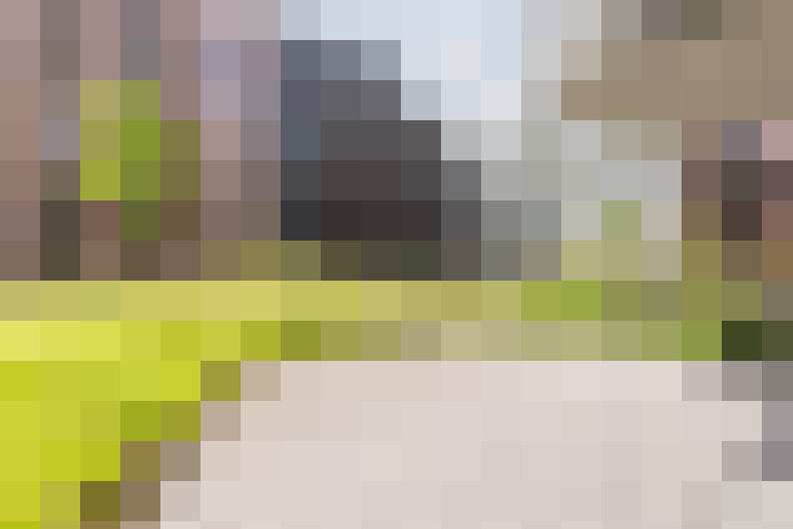  / #14