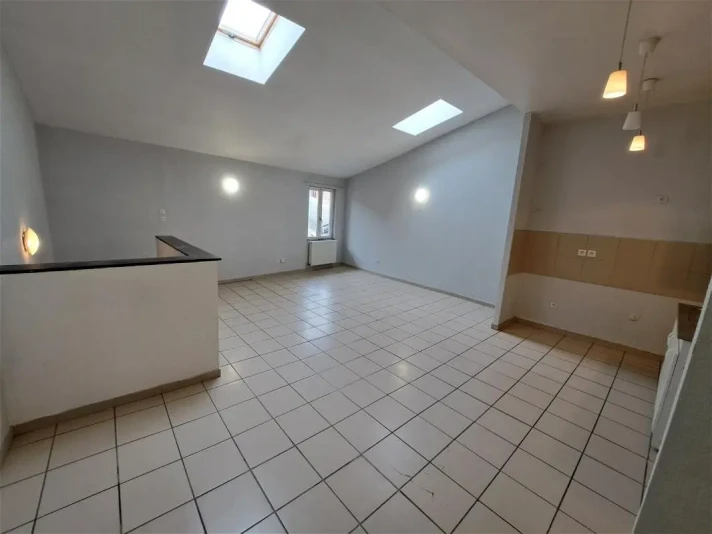 Voir la photo 1/12 du type apartment à Beaurepaire