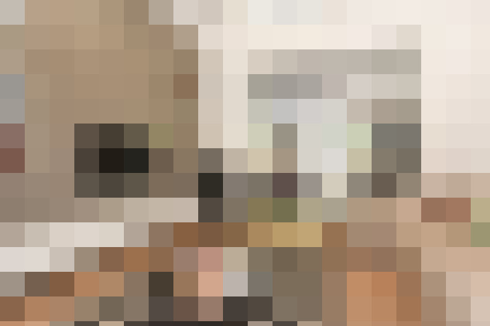  / #13