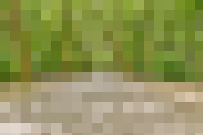  / #20