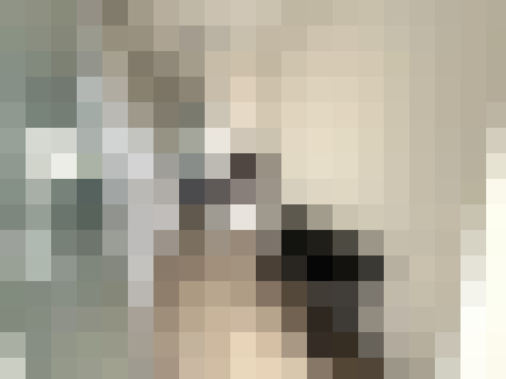  / #14