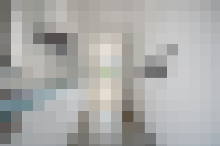  / #11