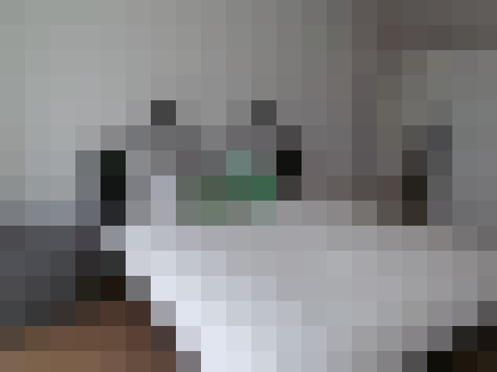  / #7