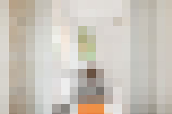  / #11