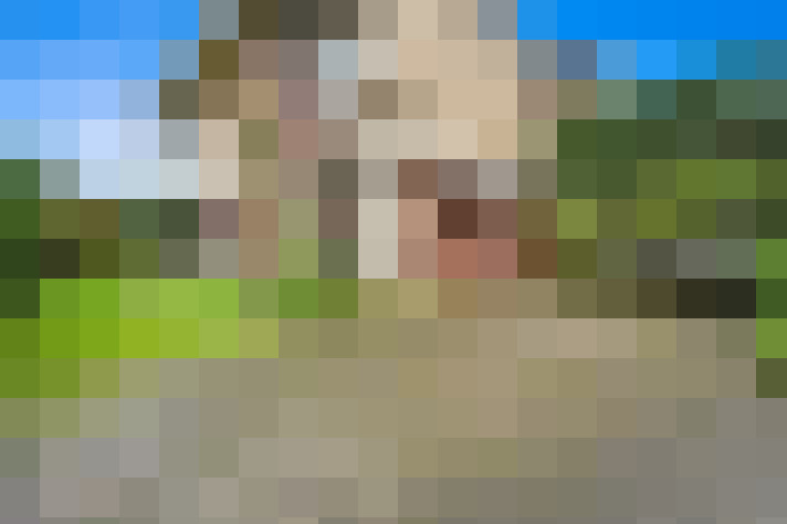  / #32