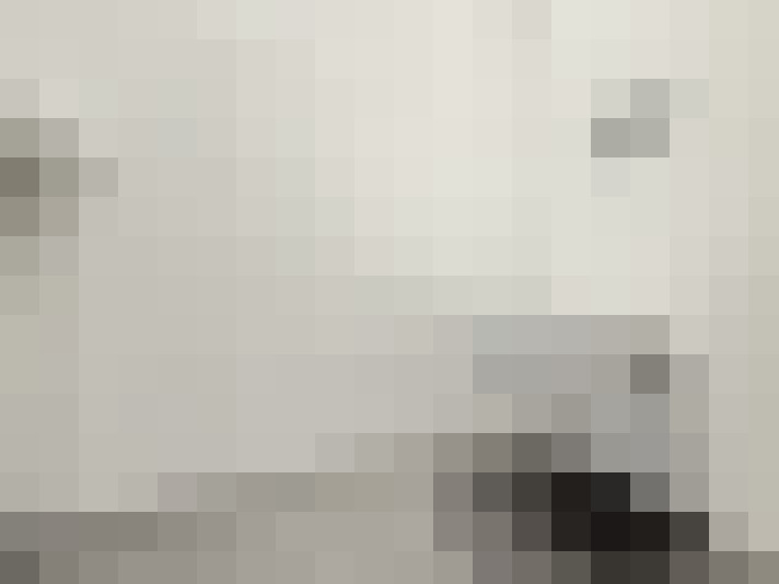  / #15