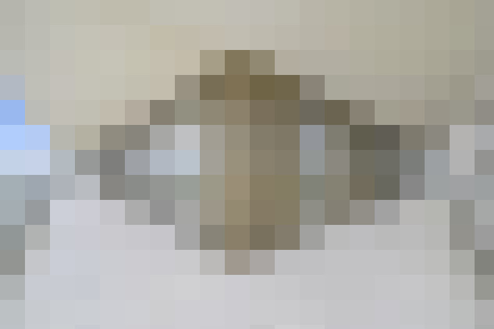  / #43