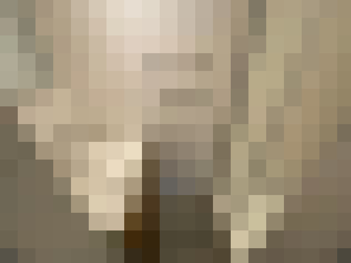  / #8