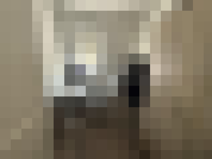  / #16