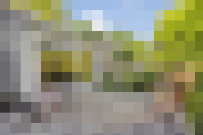  / #63