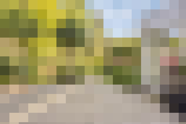  / #58