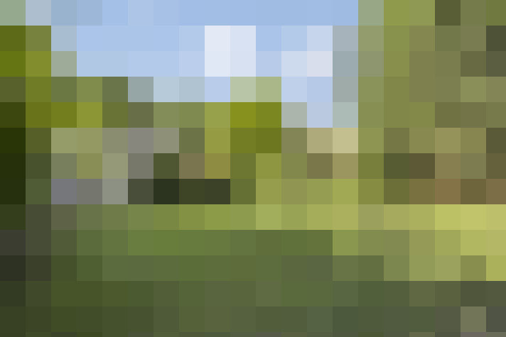  / #62