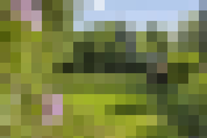  / #60