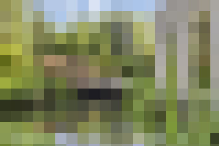  / #64
