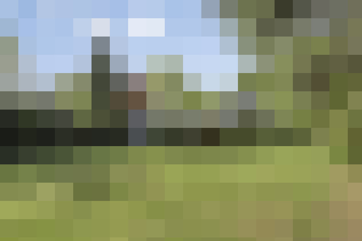  / #61