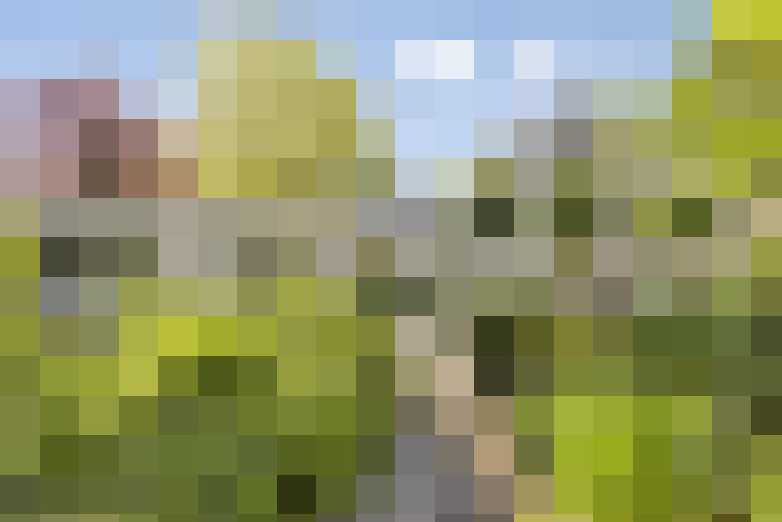  / #59