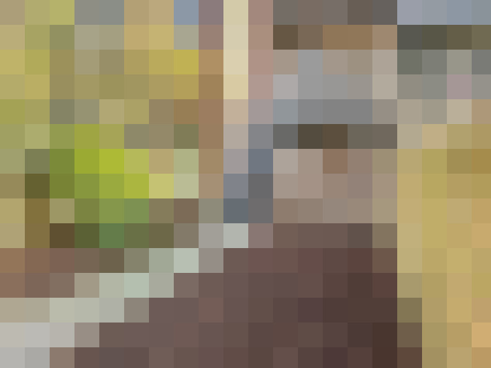  / #16