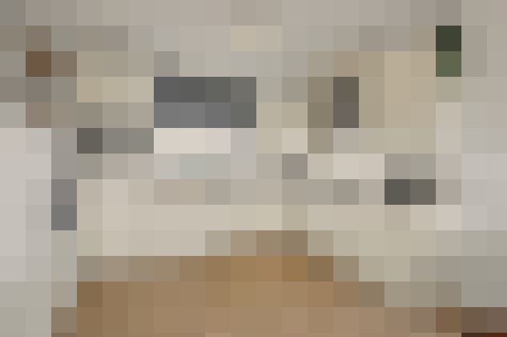  / #15