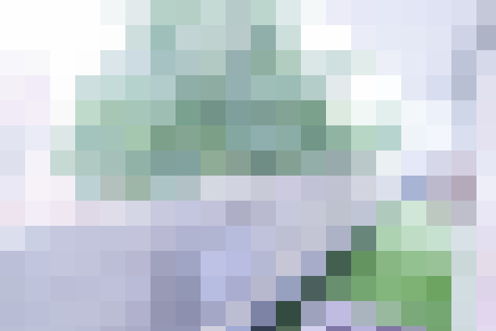  / #14
